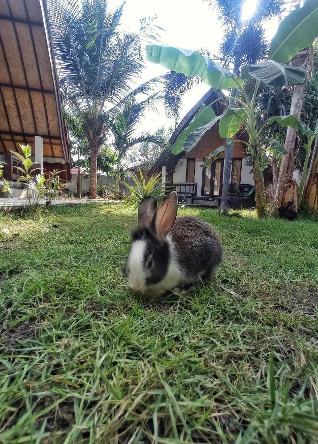 Follow The Rabbit Bungalow Gili Air Exterior foto